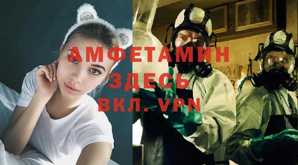 крисы Алзамай