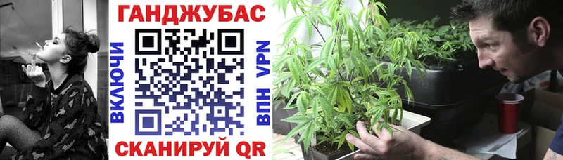купить наркотики цена Пласт Марихуана тримм